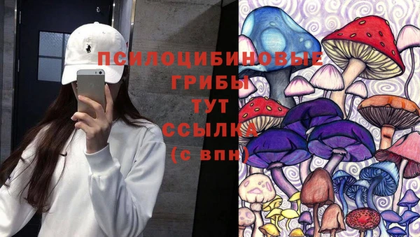 таблы Алзамай