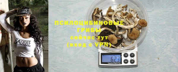 таблы Алзамай