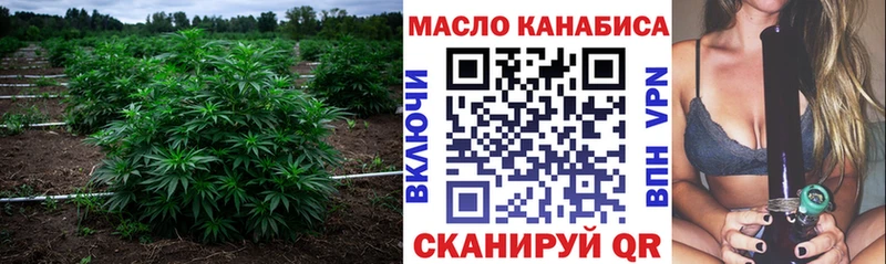ТГК THC oil  Подпорожье 