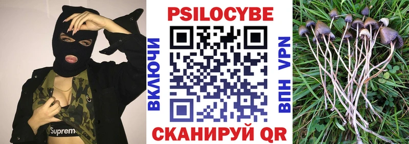 Галлюциногенные грибы Magic Shrooms  купить наркоту  Подпорожье 
